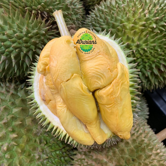 Orchard Fresh - Premium D101 Durian, Richly Creamy with Exquisite Flavor