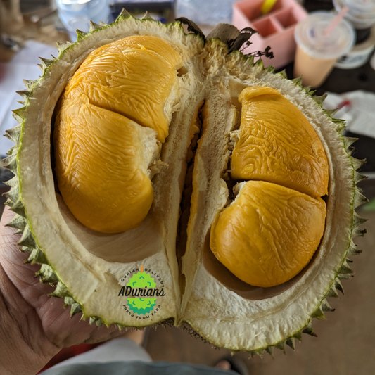 Exquisite Black Thorn D200 Durian - A Rare Delicacy from Our Orchard