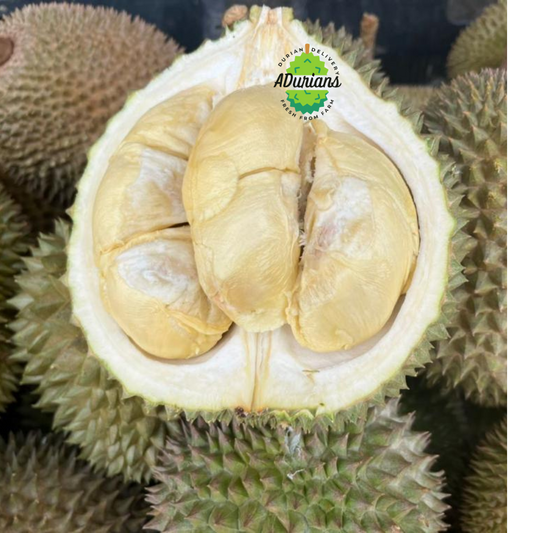 Orchard Surprise - Assorted Kampung Durian Selection, Fresh and Flavorful